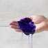 Шампунь для нейтрализации желтизны Biolage Purple